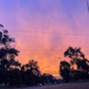 Meet your Posher, Karli